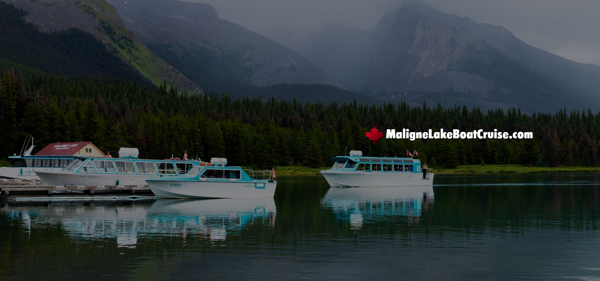 Product summary presents key product information     Keyboard shortcut  
                                        shift
                                        +
                                         alt
                                        +
                                        opt
                                        +
                                        D visual data 2